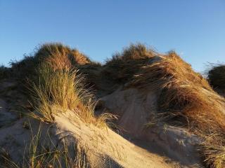 Seaside Bliss in Lynderup - By Traum Ferienwohnungen - 5