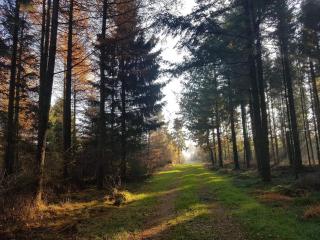 6 person holiday home in Toftlund-By Traum - 4