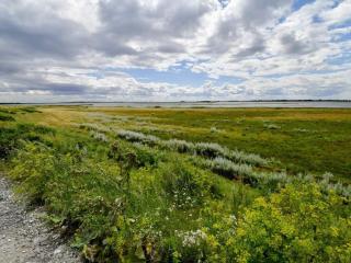 8 person holiday home in Otterup-By Traum - 6