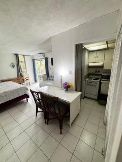 Hidden Retreat Studio at Montego Bay Club - 1