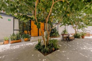 COMPLEJO GARCIA · Apartment Complex with Greenery Steps to Zocalo - 0