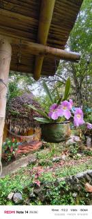 Hospedaje Finca el Mono - 3