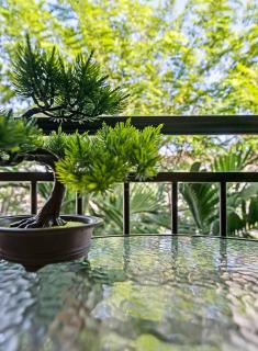 Tropical Resort Escape Cairns - 1