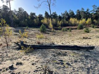 Chalet im Ferienpark, Irrlandpark, Maasdünen, Naturerlebnis, Kinderfreundlich - 6