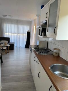 Chalet im Ferienpark, Irrlandpark, Maasdünen, Naturerlebnis, Kinderfreundlich - 1