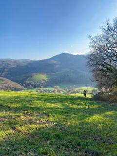 La cabane de Thuriès - 2