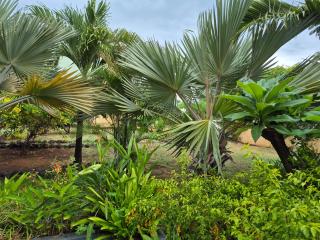 studio moderne avec piscine à 900 mètres de la mer - 6