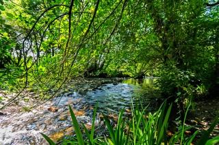 Riverside Garden - 1