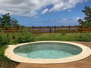 Gîte de Charme avec Vue Mer et Jacuzzi à Saint-Paul - FR-1-786-70 - 6
