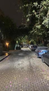 Peaceful Sunlit Retreat in Maadi - Cairo - 9