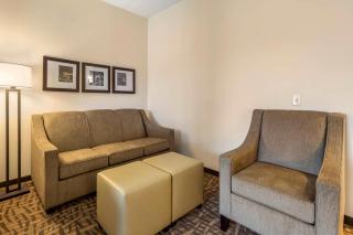 Comfort Inn & Suites Pittsburgh-Northshore - 8