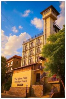 The Three Oaks Boutique Hotel - 7