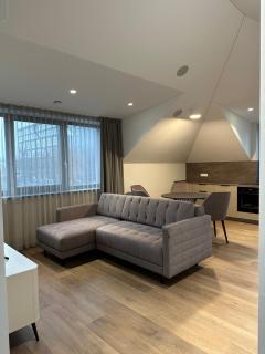 Elegant Apartment for Business & Long Stays with Parking - 9