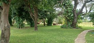 Camp Hogo Kavango - 8