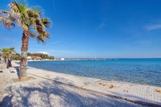 Paradiso, No 2 - Vir - 9