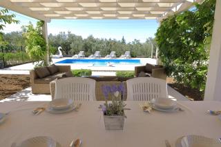 Angelina - Sukošan - 8