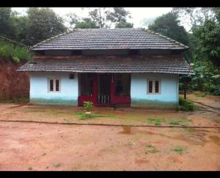 COORG CLlMATE STAY - 2