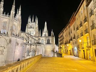 Acariciando la Catedral by apartamentoscatedralcamino - 8