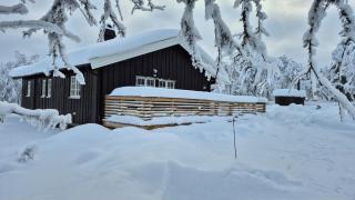 Cabin at Venabygdsfjellet - 6