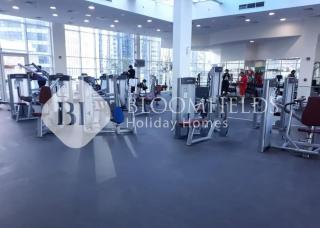 Bloomfileds Executive Stu in Hydra - 4