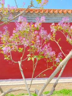 King Parkview Hotel - 8