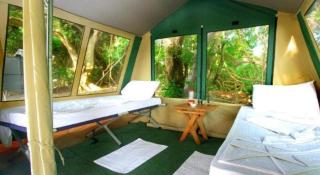 The Yala Camping - 3