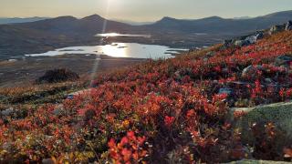 Cabin at Venabygdsfjellet - 1