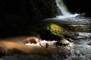 บ้านมะเดื่อทอง Ban Madues Thong - 5