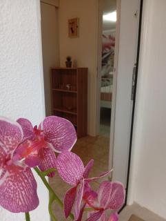 Apartman Lena - Dobrota - 5