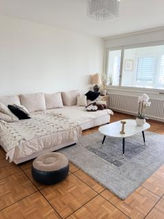 Luxury apartment en face du lac - 0