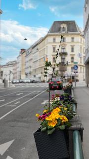 Sunny Flat Park City Nearby - Vienna - 7