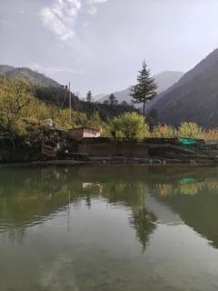 Baaga Village Cottages - Tirthan Valley - 5