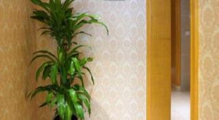 Vienna Hotel Shanghai Hongqiao Huaxin Road - 4