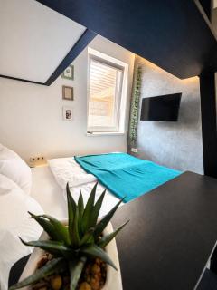 Celia Center Celje Apartment - 1