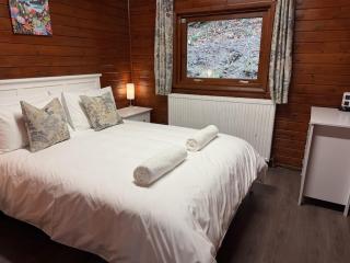 Luxury Alpine Cabin - Nr Betws-y-Coed - 1