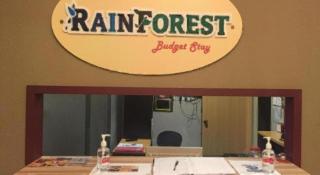 RAINFOREST Budget Stay - 3