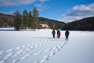 Lofts des Bois du lac Castor - 2