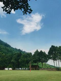 Toom Sara Forest Stay - Danang - 8