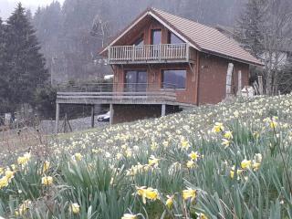 La Vue de Longemer - 6