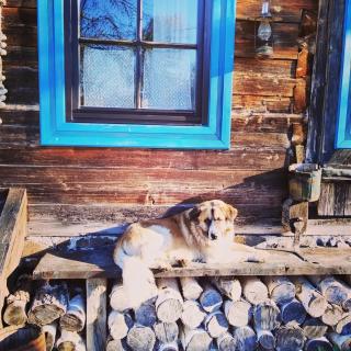 Breb s Cosy Barn - 3