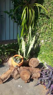 Hospedagem Lirio - 8