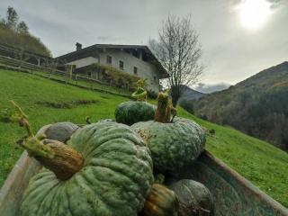 B&b CASCINA CORNELLA - 7