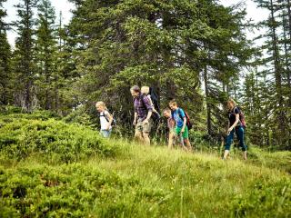 Hochalmbahnen Chalets 17W2, Schneerose, nahe Gondel - 1