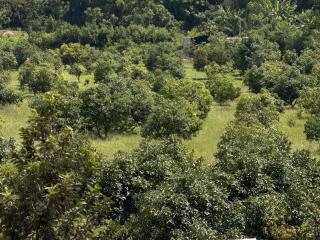 Mi casa at Sigrut - 7