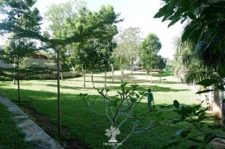 Treasure Trove Resort - 6