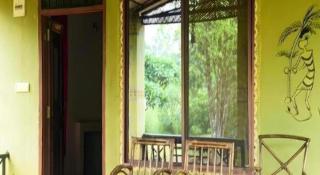 Bastar Jungle Resort - 5