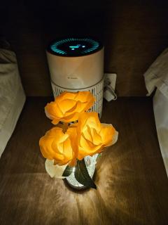 202JHBlossomStayjeonpo - 1