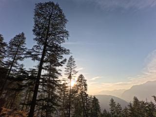 Oreo's Cafe & Stay - 5