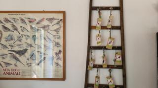 Casale Podernovo - 1