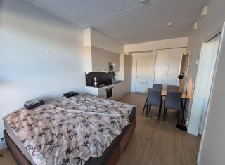 2nd floor, 33m2 1-bedroom app, sauna, close to the shop, airport and train station - 4